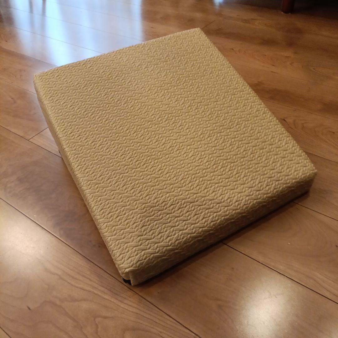 フレックスクッション　サンテプラス　SANTEPLUS　Flexcushion