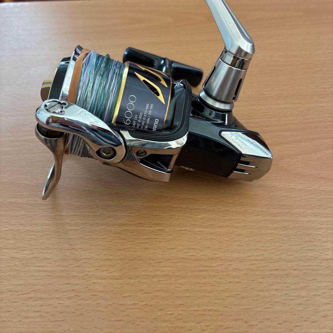 SHIMANO STELLA SW シマノ　ステラ SW6000HG