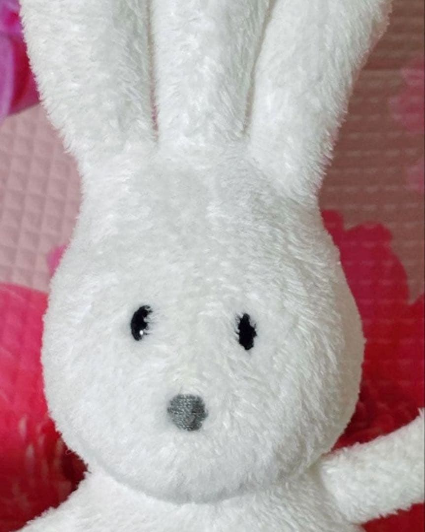 【即購入可・翌日発送】バムとケロ 絵本シリーズ おじぎちゃんぬいぐるみ