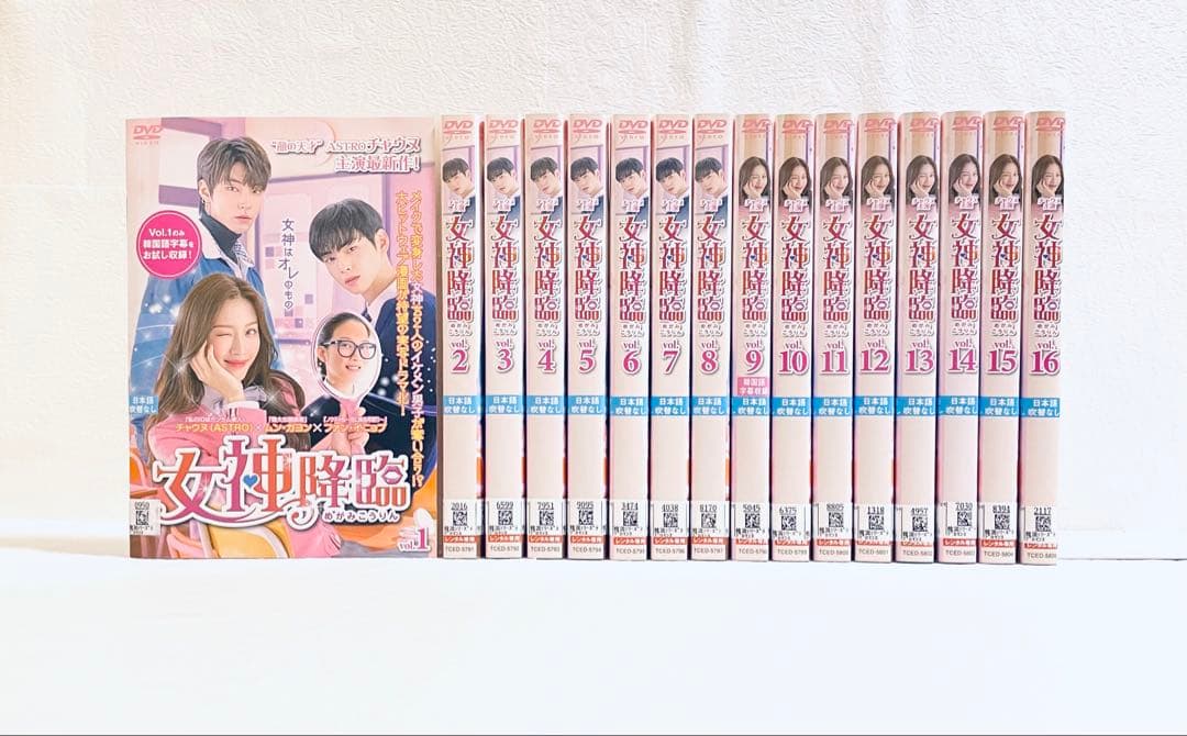 女神降臨　日本版　【全16巻】　レンタル版DVD 全巻セット　チャウヌ　韓国