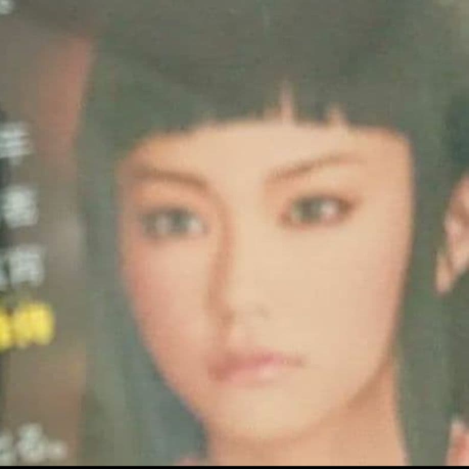 逆転裁判 DVD 成宮寛貴、斎藤工　桐谷美怜　中尾明慶】ジャケットケース付き