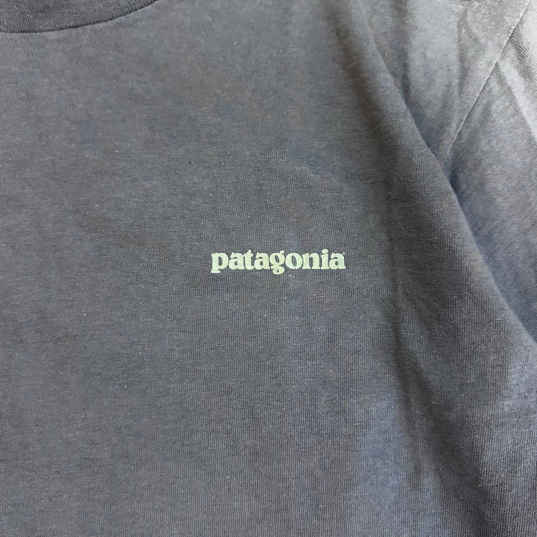 名作 葛飾北斎 アメリカ製 Patagonia パタゴニア Tシャツ
