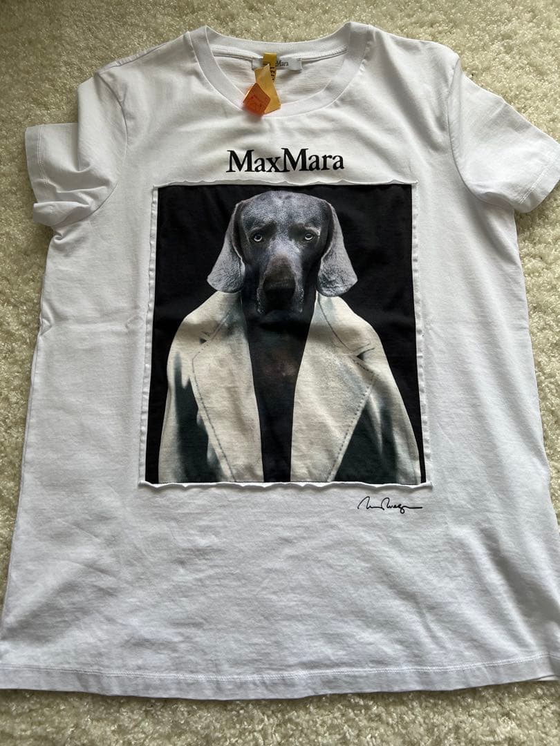 美品　MaxMara Tシャツ　Lサイズ　クリーニング済