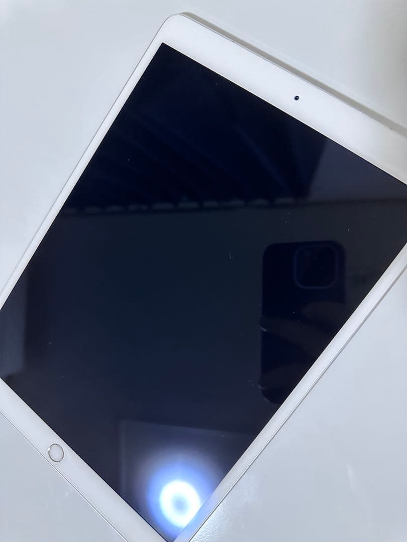 iPad Pro 10.5インチ 256GB Wi-Fi + セルラーモデル