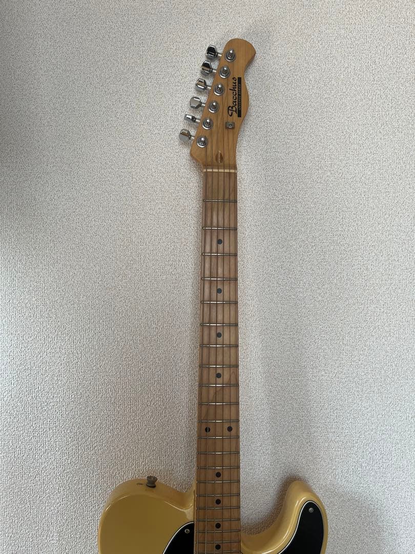 Bacchus Telecasterスタイル エレキギター♪