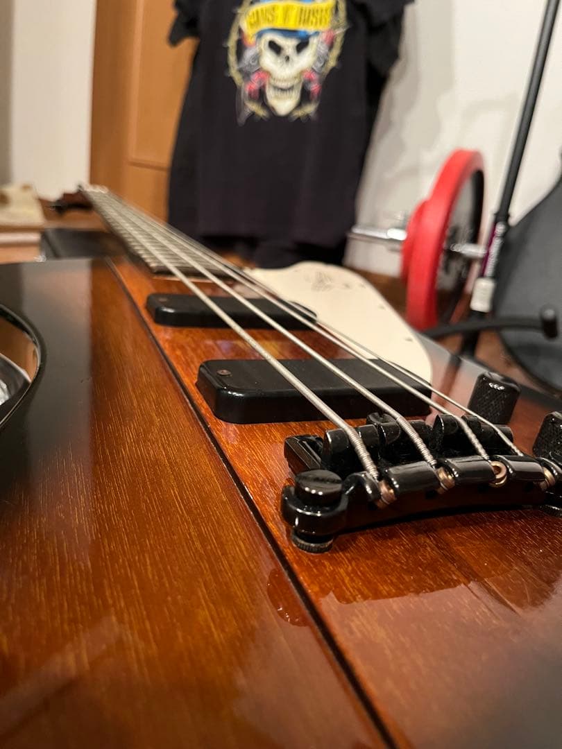 h*e様 【大幅値下げ】 Gibson ギブソンThunderbird Ⅳ 19