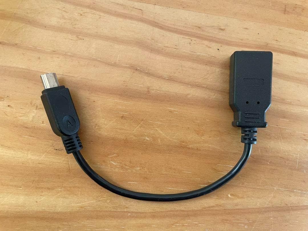 ビクター JVC Victor Everio GZ-E745-S おまけ付き