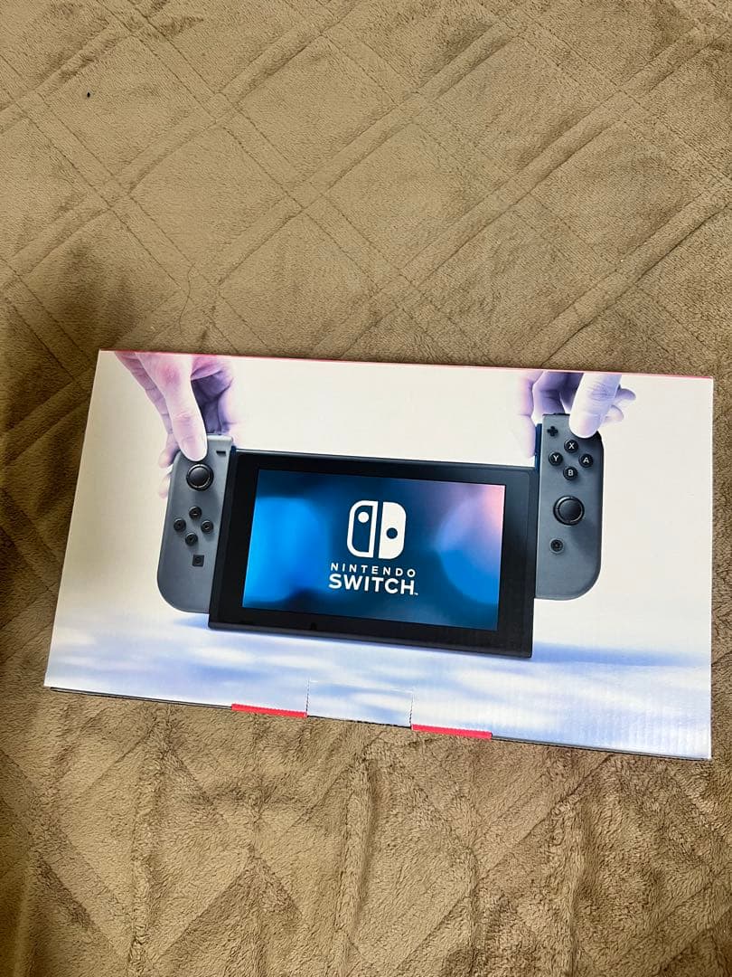 初期型スイッチ　（初期化済み）