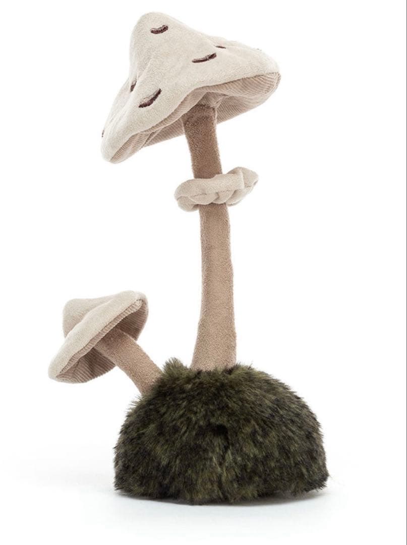  Wild Nature Parasol Mushroom 蕈