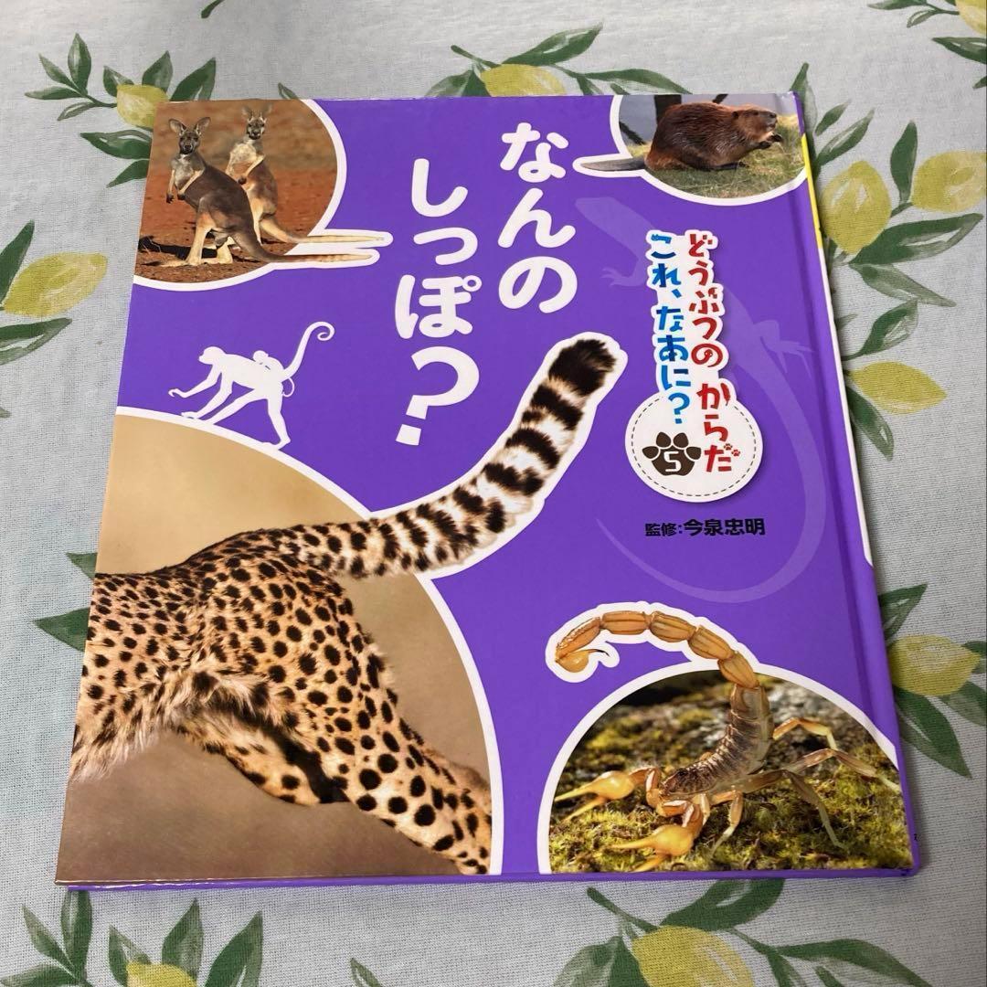 どうぶつのからだ　これ、なあに？ 　絵本　動物 図鑑　5冊セット