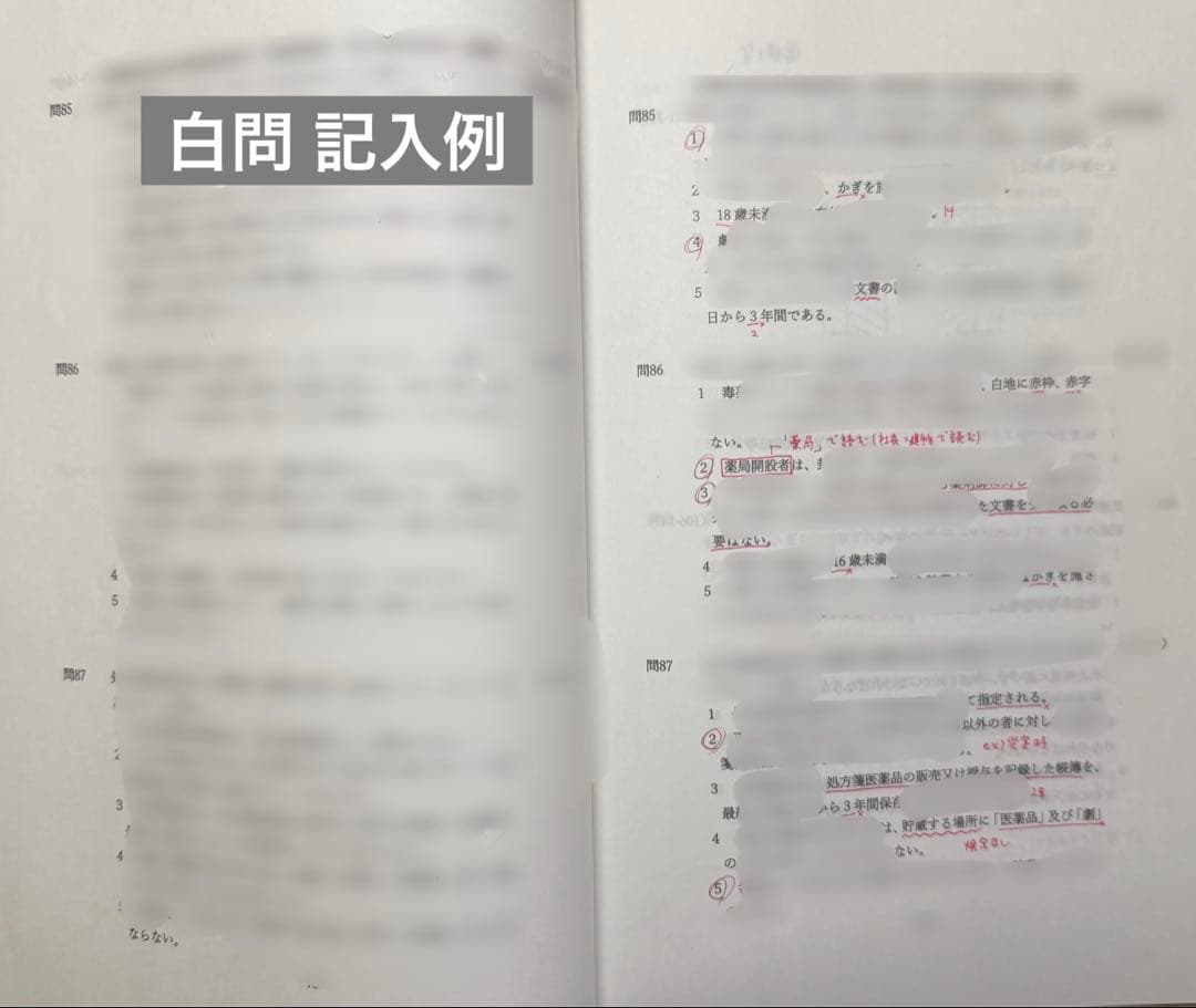 第111回 薬剤師国家試験対策セット 青本・青問・白問 まとめ売り