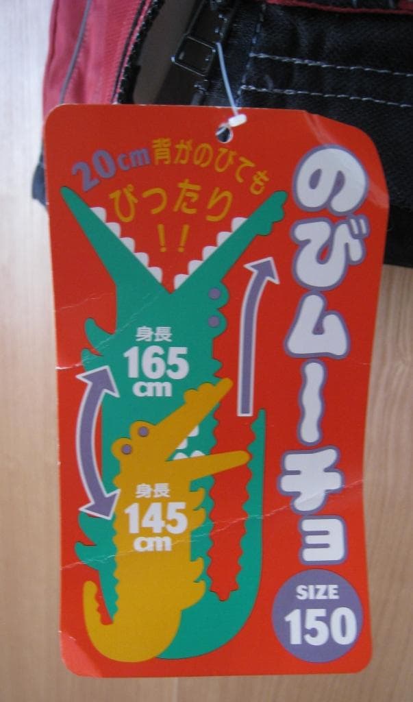スキーウェア　ジュニア用　上下セット　150