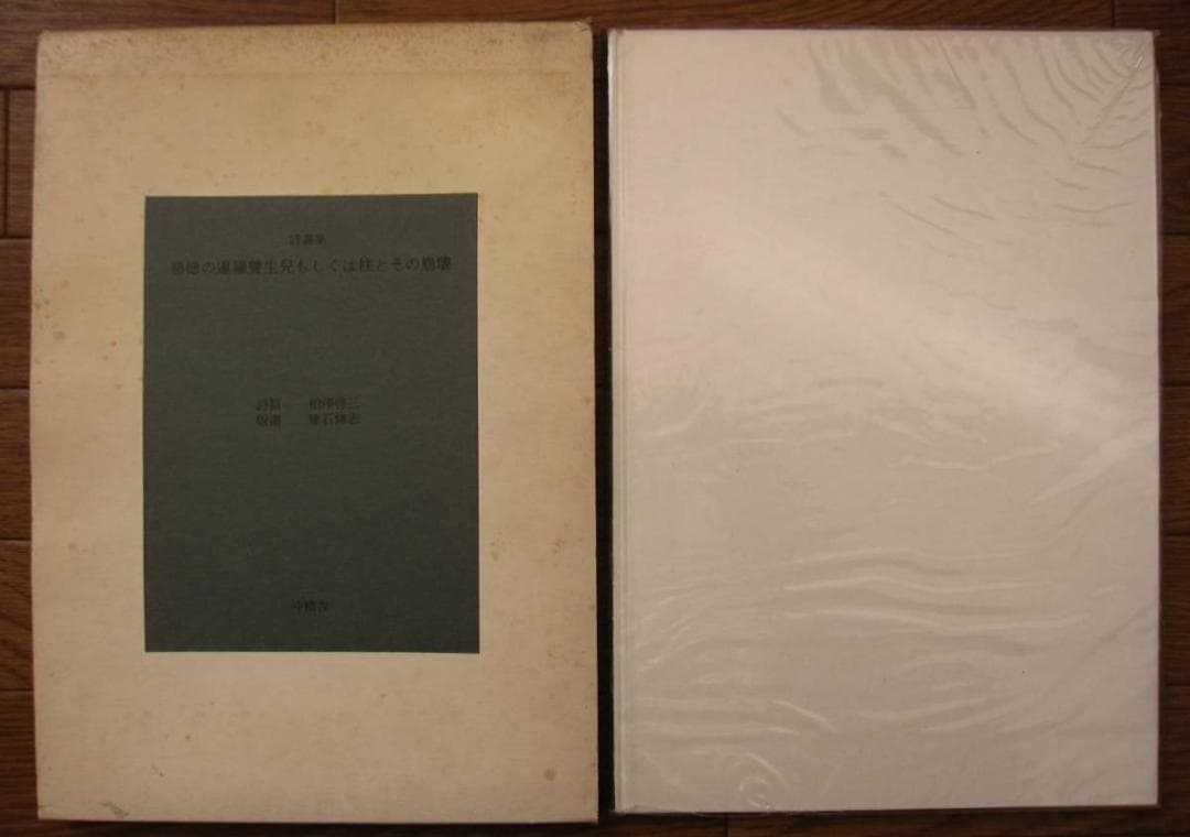 悪徳の暹羅双生児もしくは柱とその崩壊　相澤啓三　建石修志　限定300部