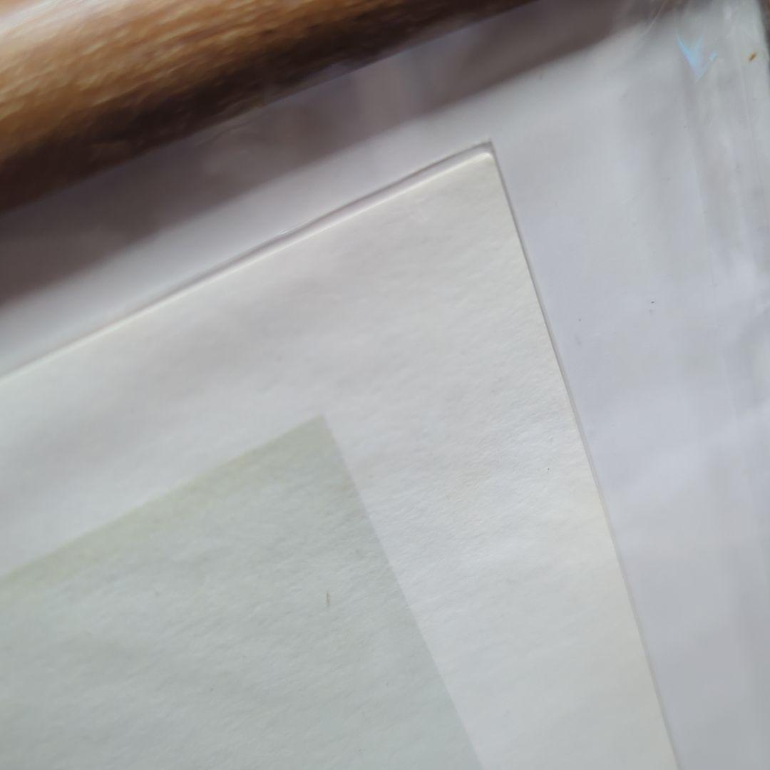 長渕剛　詩画　負けんなよ　オフィシャルグッズ