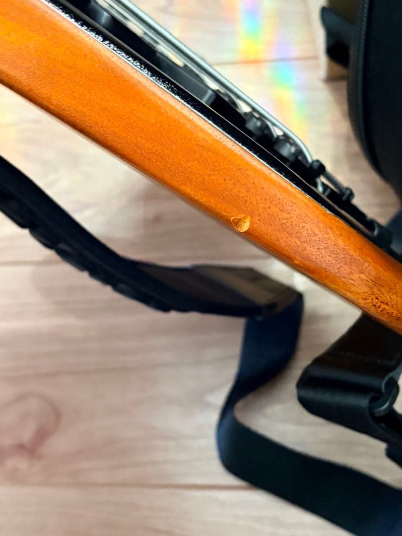最最最終値下げ‼️IbanezEHB1135MS