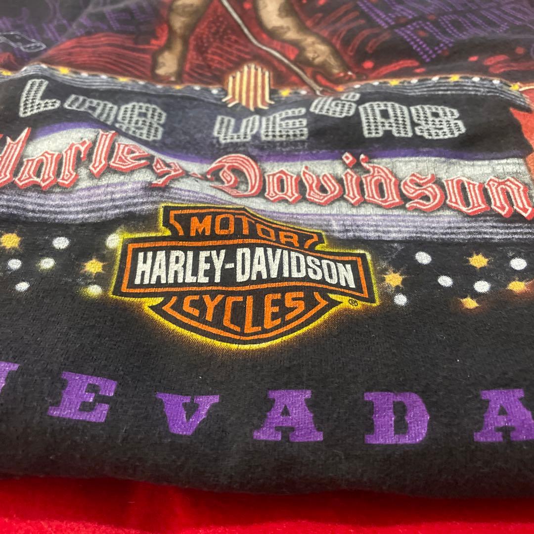 ハーレーダビッドソン ハーレー　Ｔシャツ　Harley-Davidson バイク