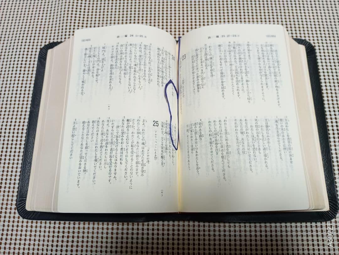 ■ 新共同訳 中型聖書 NI59S●B6判 ●革装　三方金　日本聖書協会