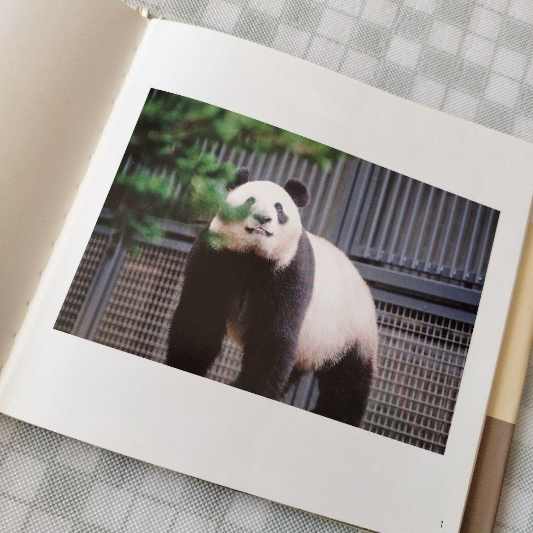 上野のパンダ