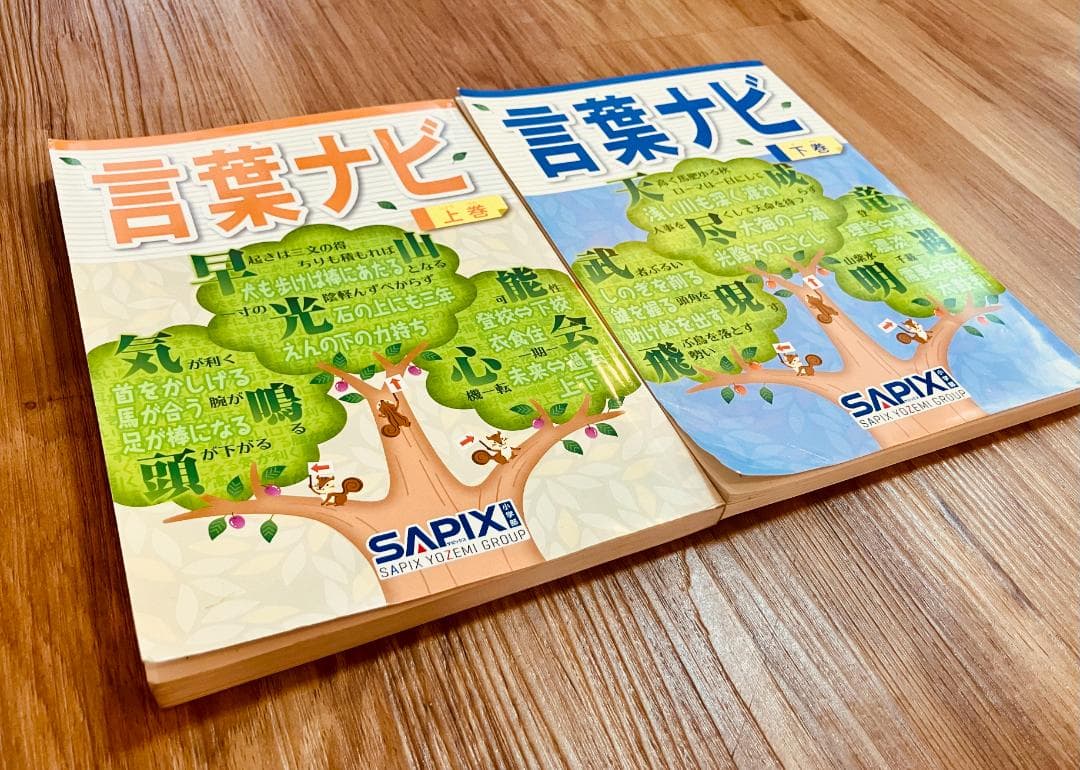 ＜記入ほぼなし＞SAPIX　言葉ナビ　上巻　下巻　2冊セット　サピックス