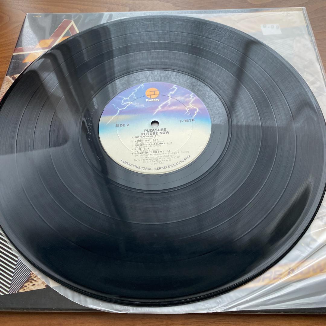 邦楽 LP Pleasure Future Now US ORG