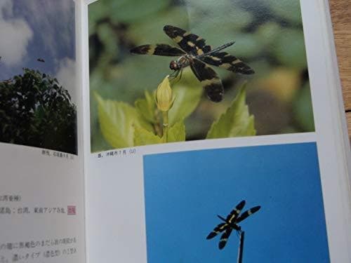 沖縄昆虫野外観察図鑑 2巻・3巻・4巻の三冊