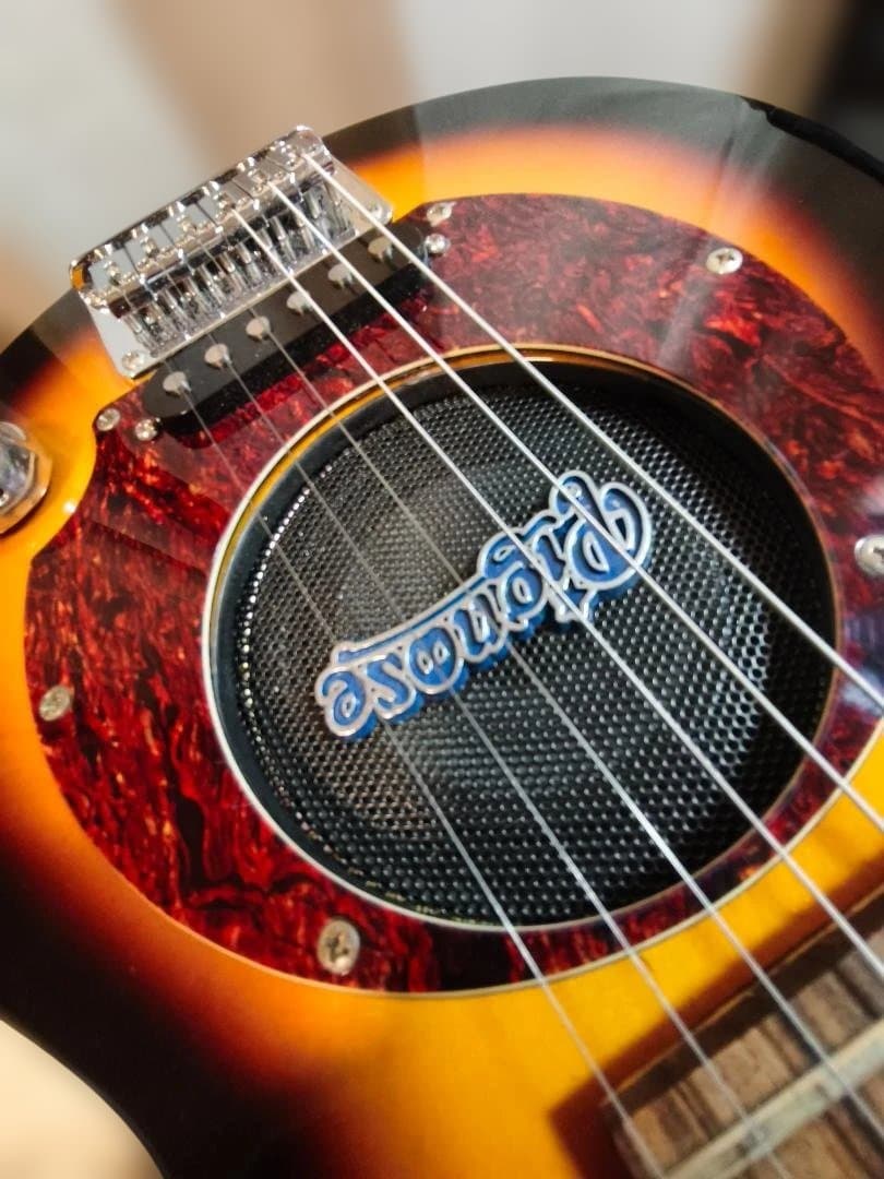 【オマケ多数】Pignose PGG-200 SB