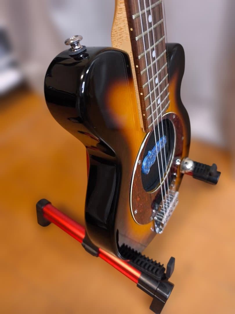 【オマケ多数】Pignose PGG-200 SB
