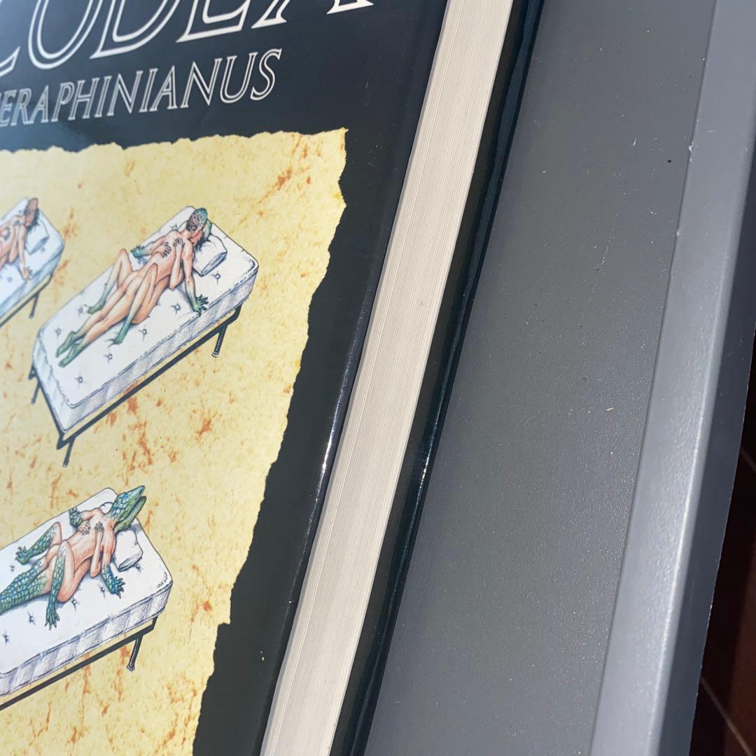 【最安値】Codex Seraphinianus 1983年アメリカ版初版