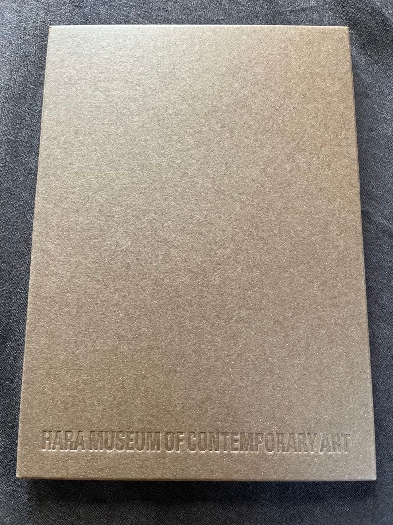 VINCENT GALLO RETROSPECTIVE 1977-2002 美品