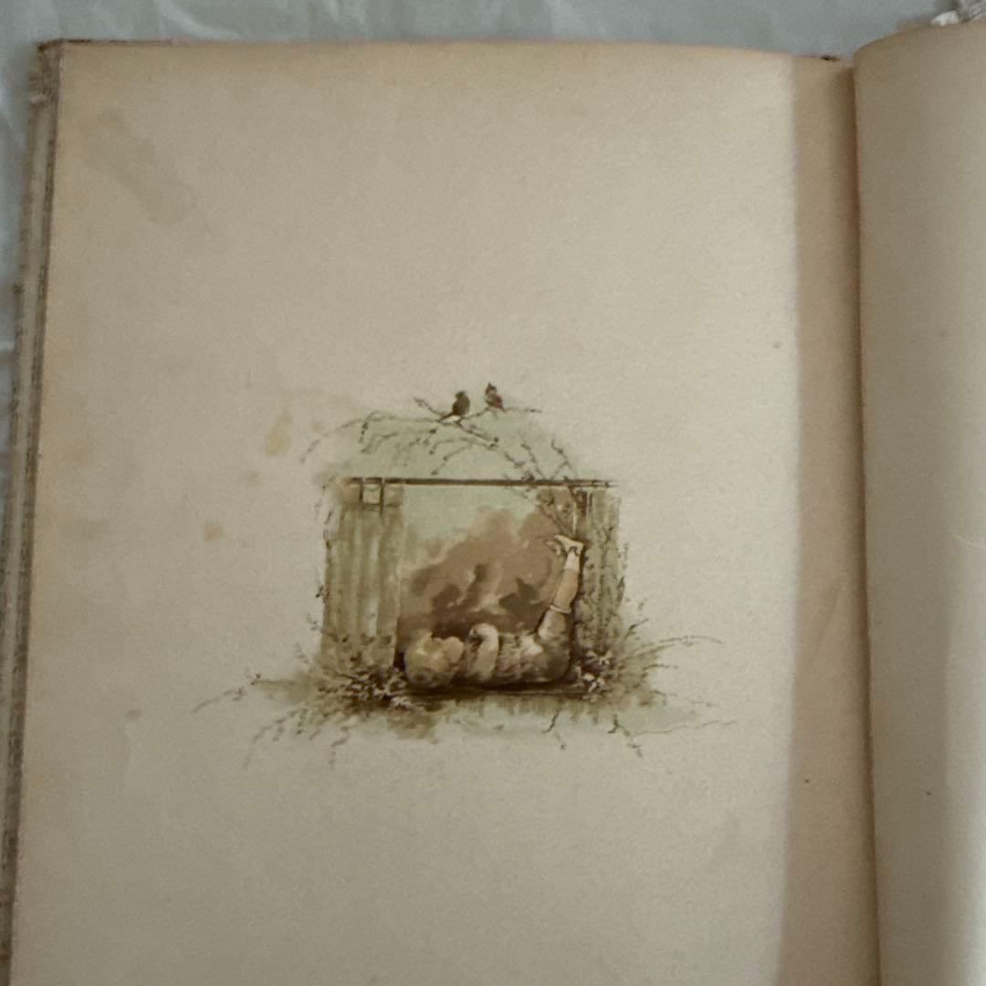 稀少1860年アンティーク美しい絵本ヴィクトリアン洋書ジャンクジャーナル児童書