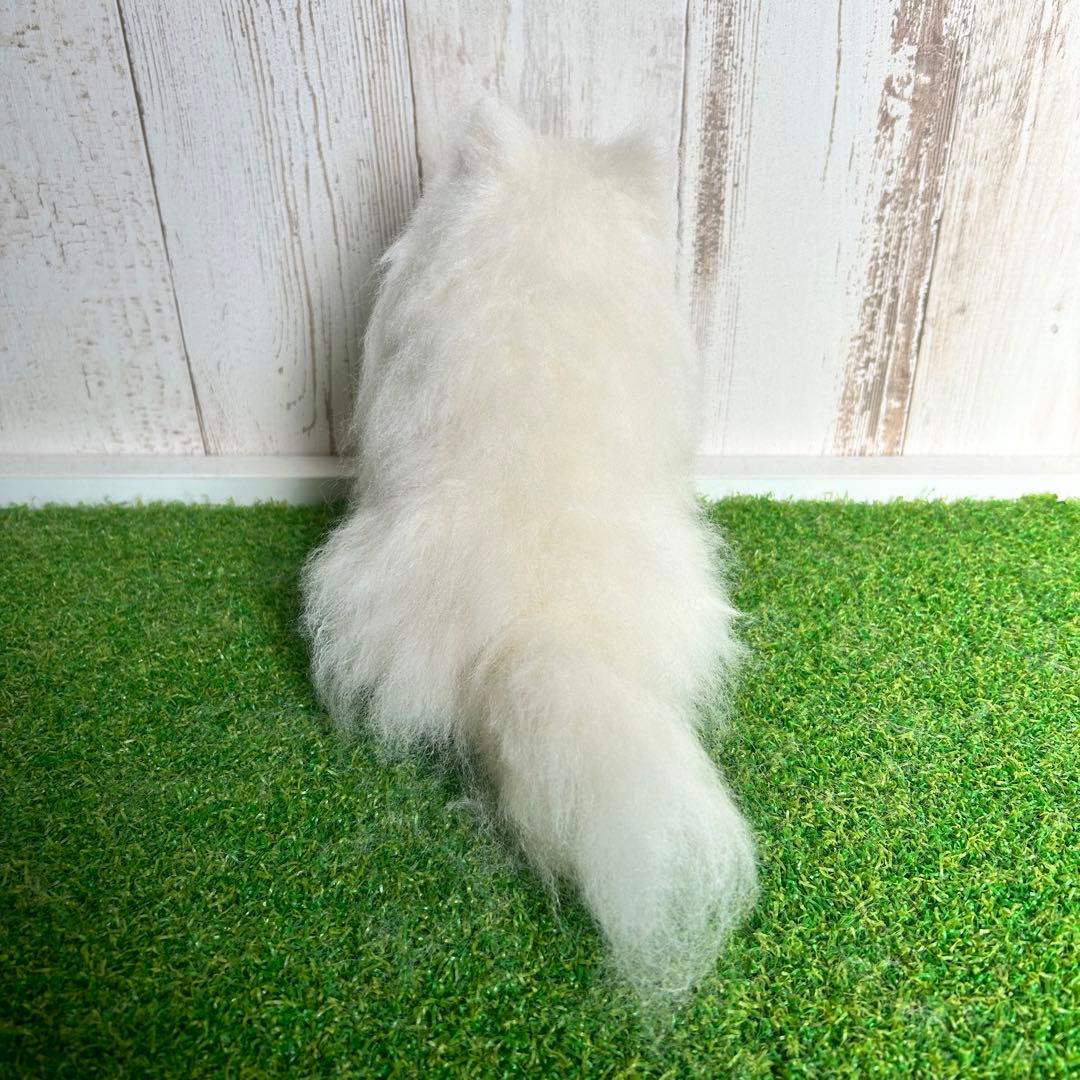 即購入可能です。羊毛フェルト【ポメラニアン】犬　※他の犬種のオーダーも受付中です