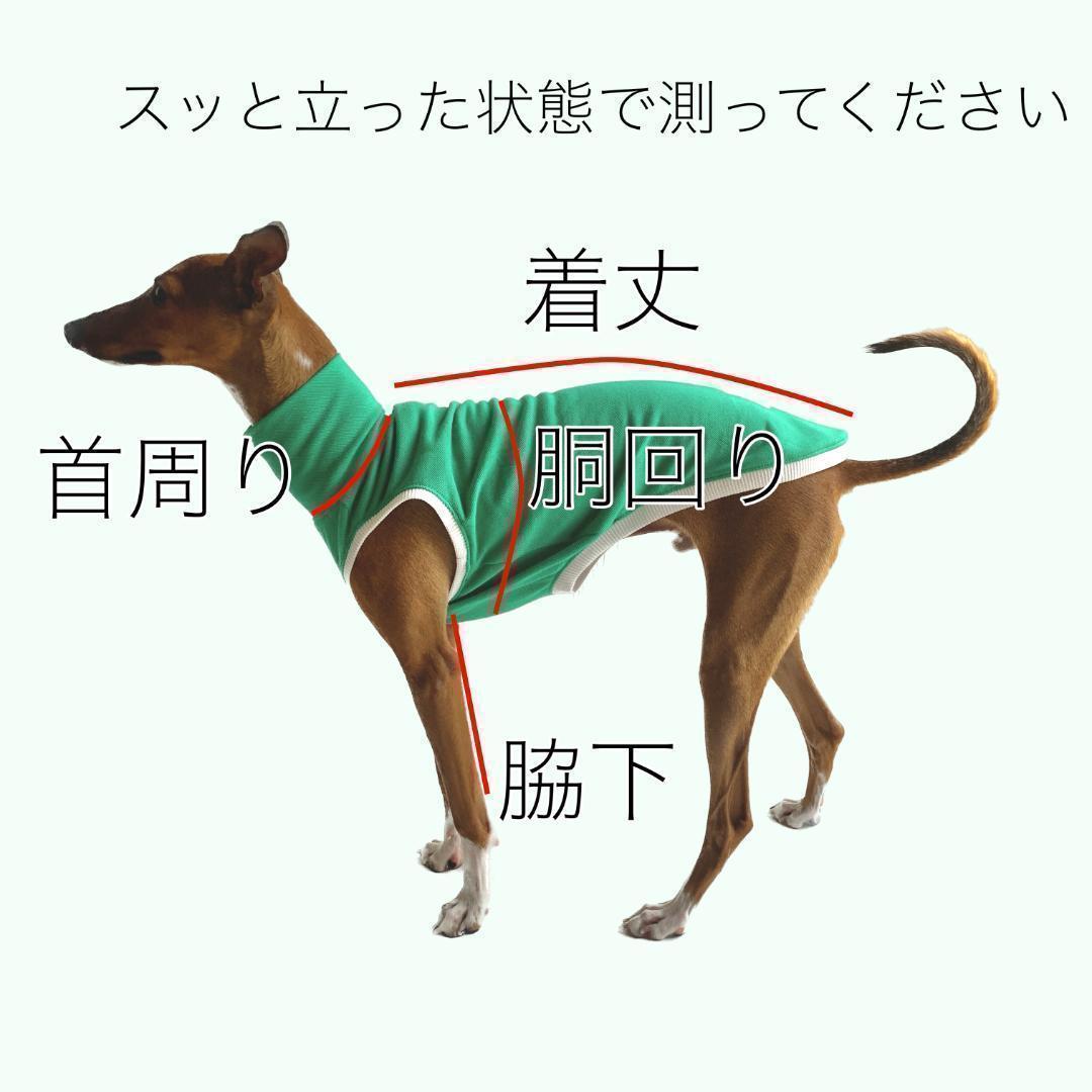らるもん 　イタグレ服　ロングスリーブ シャツ　2点