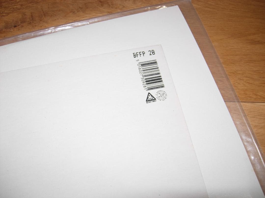 Ciccone Youth The Whitey Album LP レコード