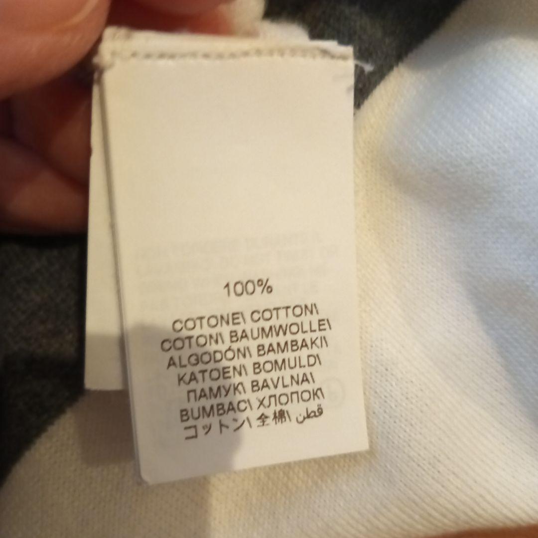 ストライプデザイン 半袖Tシャツ