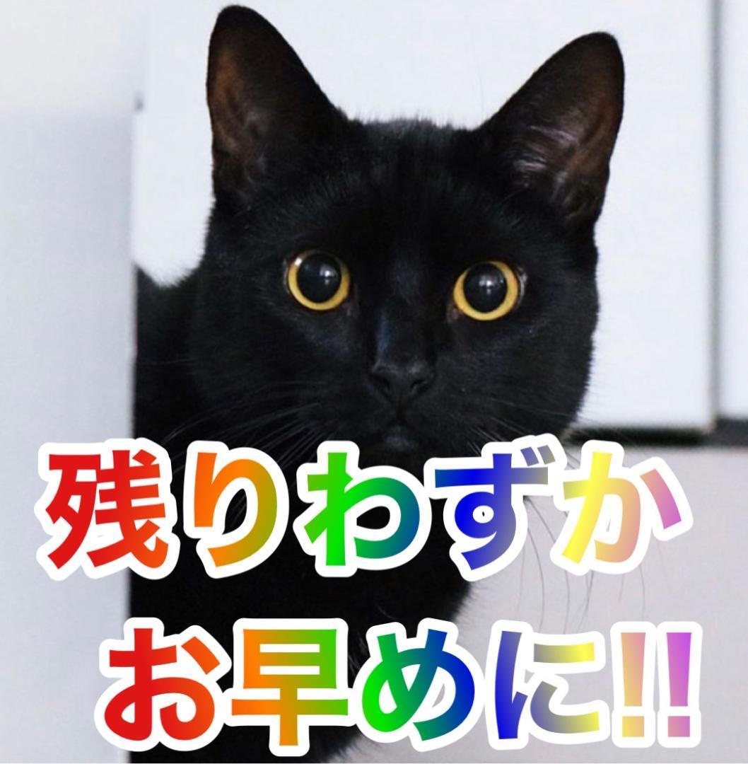 スマスロ実機　Lガールズ&パンツァー最終章H1　簡易ユニットボリューム調整付