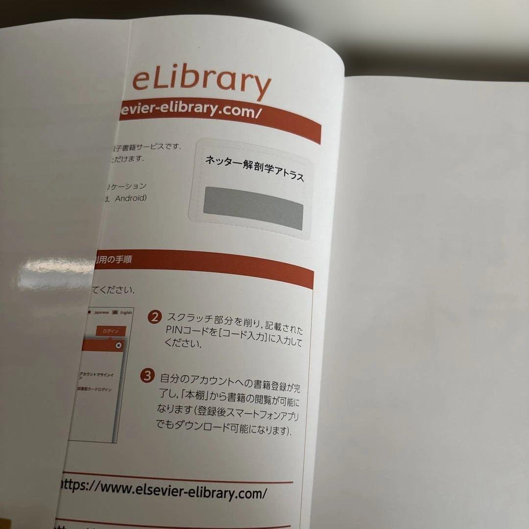 ネッター解剖学アトラス第7版