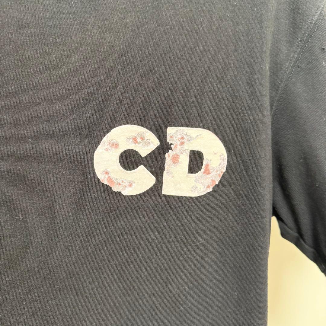 Dior x Daniel ArshamコラボレーションTシャツ