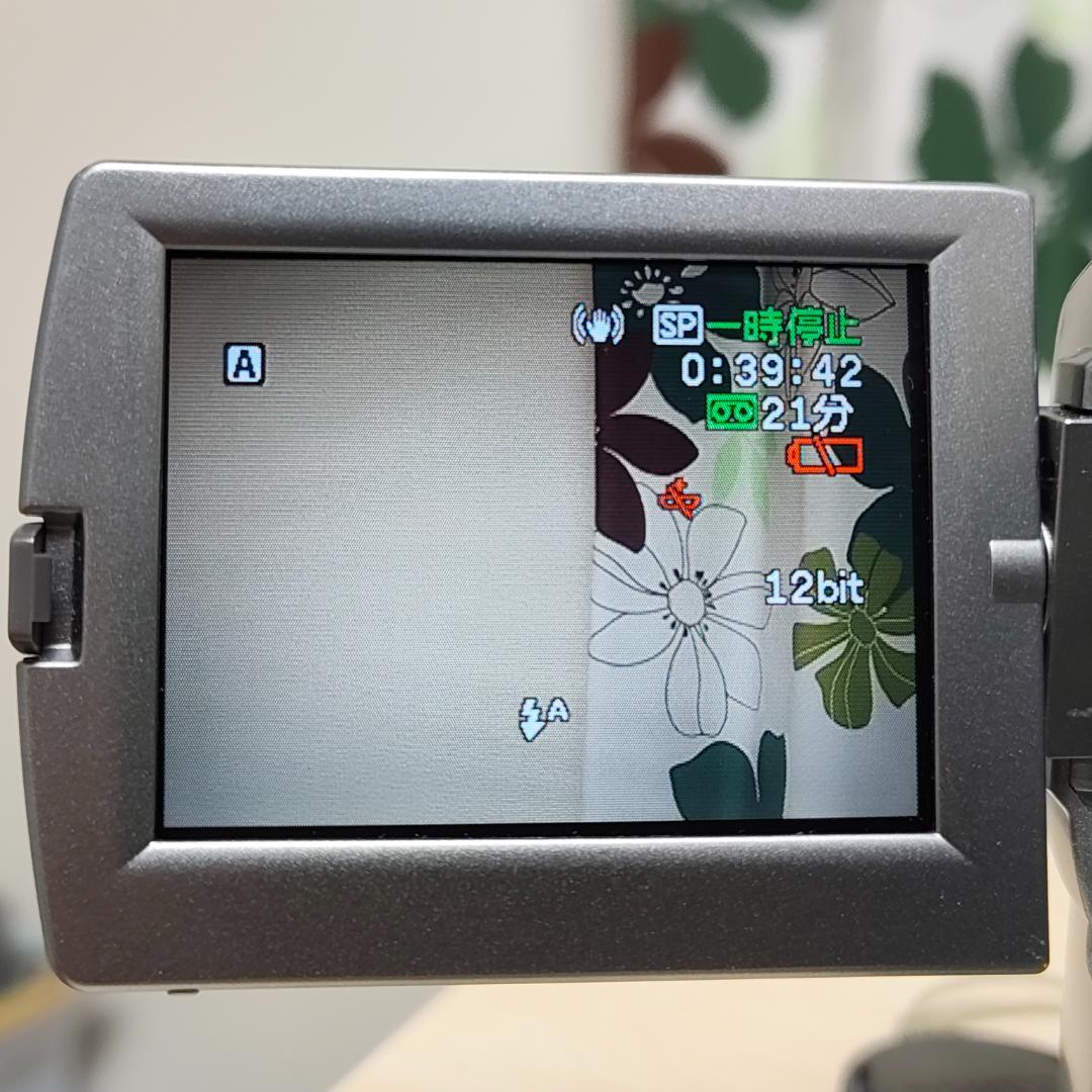 くるみCanon DM-IXY DV M2 MiniDVビデオカメラ