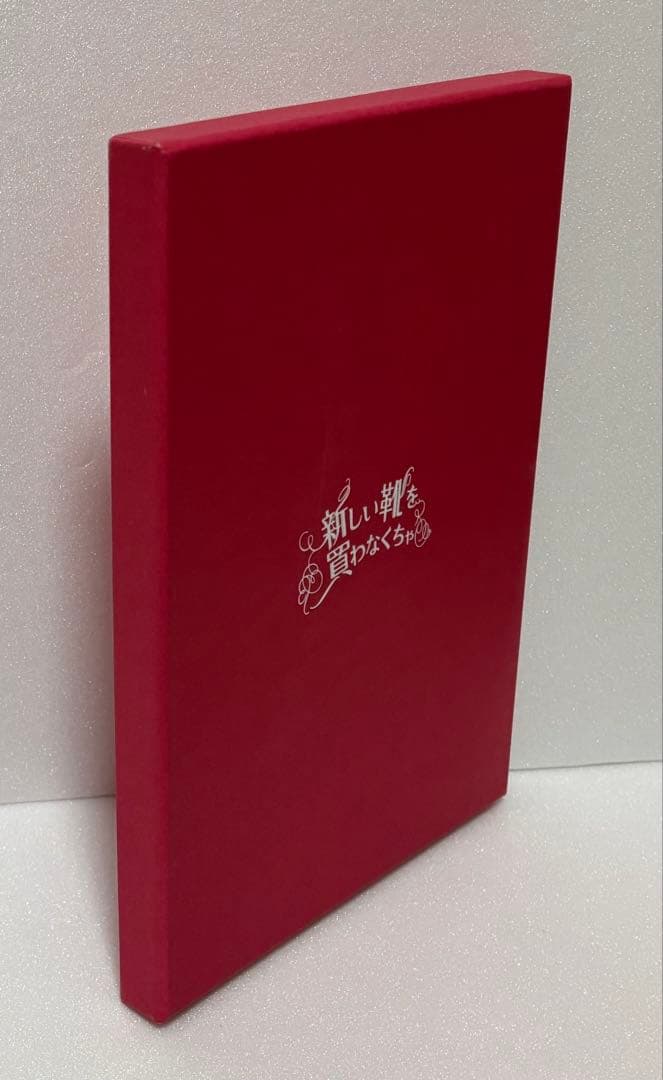 初回限定生産　新しい靴を買わなくちゃ フォトブック付き DVD 中山美穂