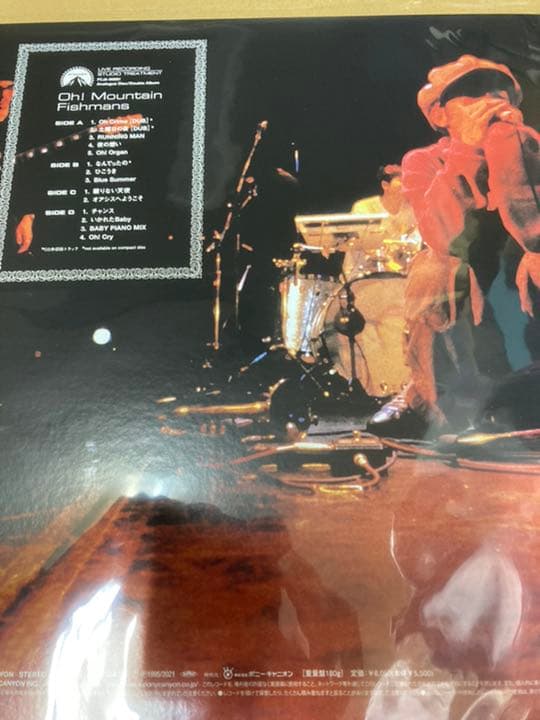 フィッシュマンズ Oh!Mountain レコード 限定盤 新品未開封
