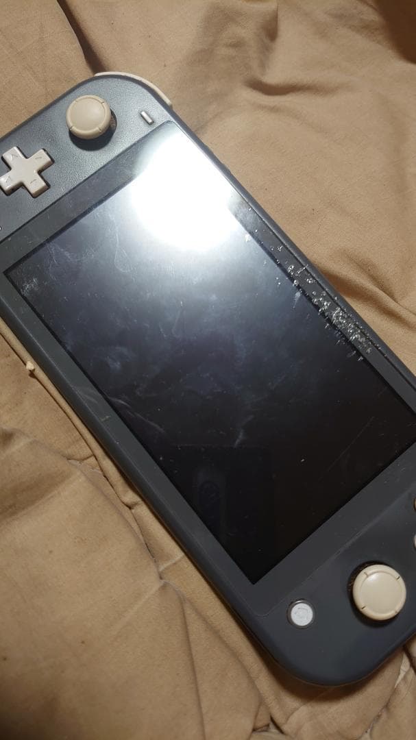 SwitchLightジャンク品充電器固定すれば使える
