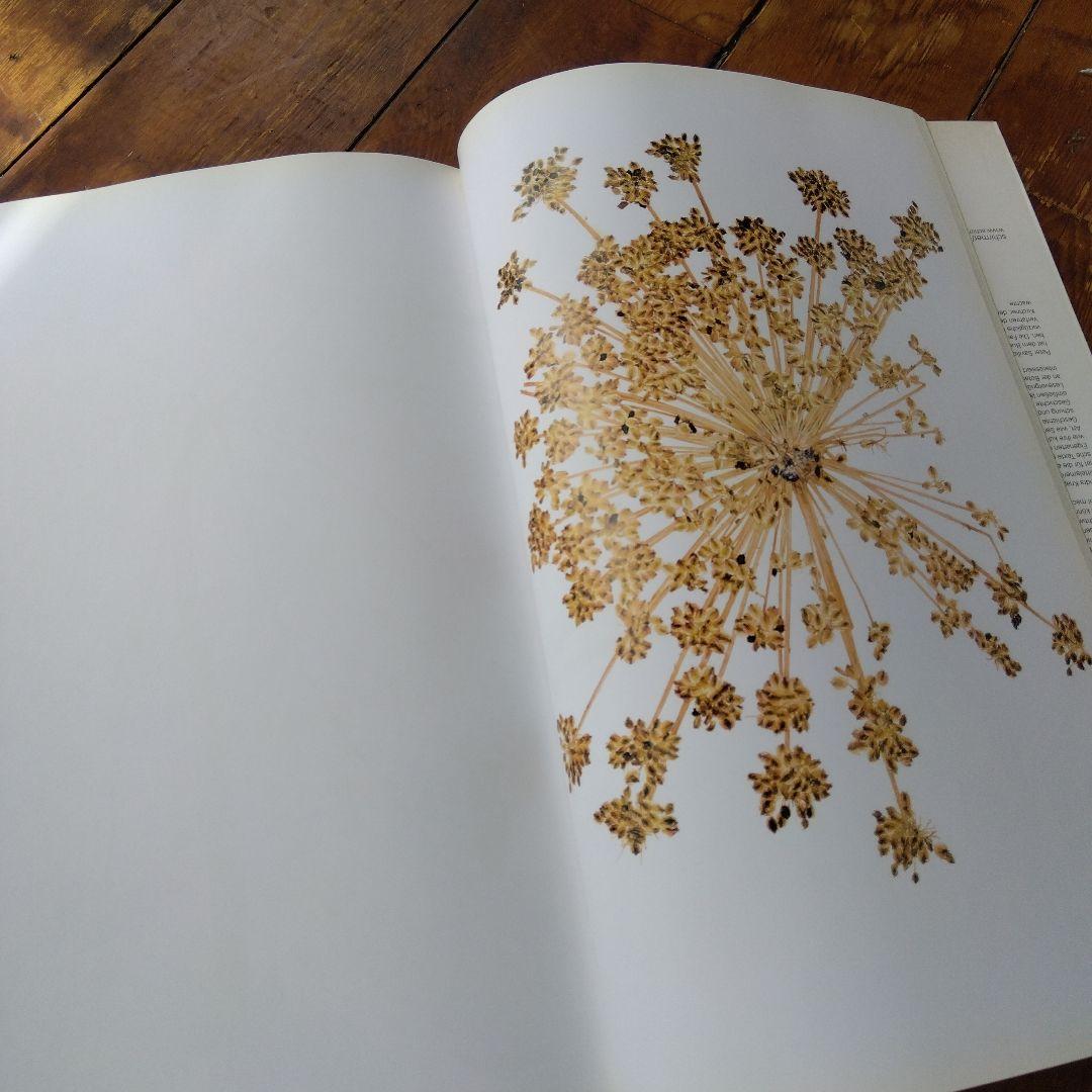 FLORA nick knight 写真集　アート　洋書　インテリア