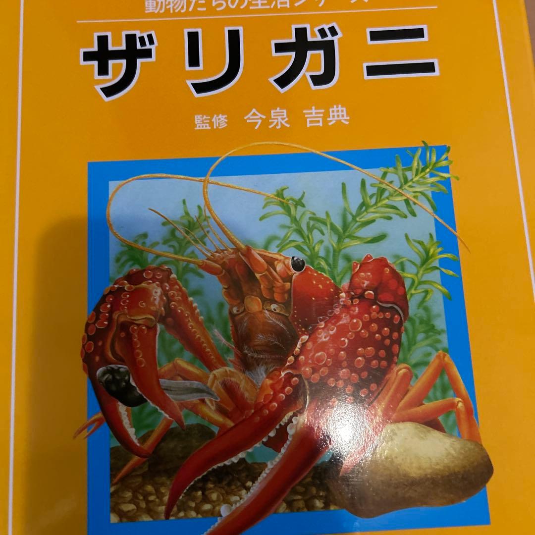 【レア】ニュートンジュニアブックス全20巻