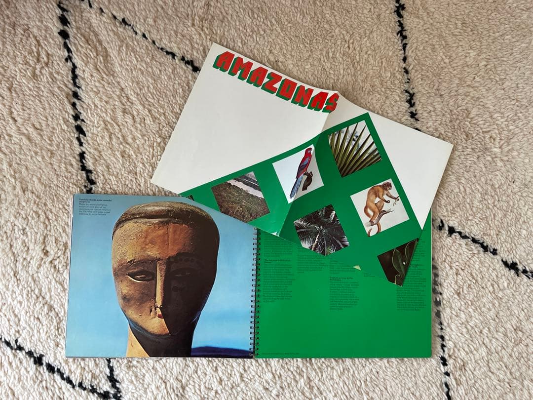 Champion Papers Imagination 70s ヴィンテージ