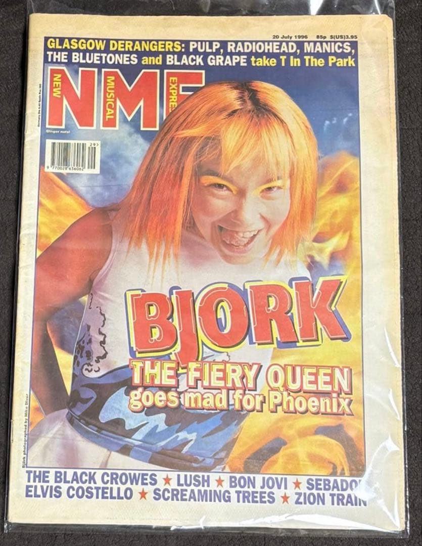 レア‼️ 1996 NME Björk Issue Bjork