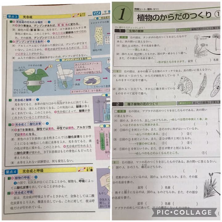 ベストパートナー　要点指導書