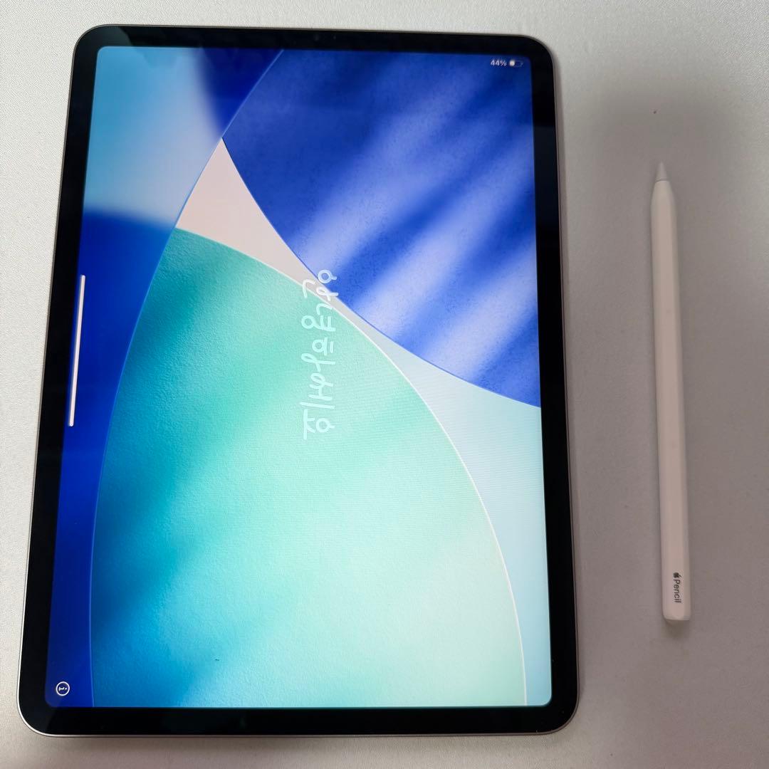 バッテリー100% iPad Pro 4世代Applepencilセット