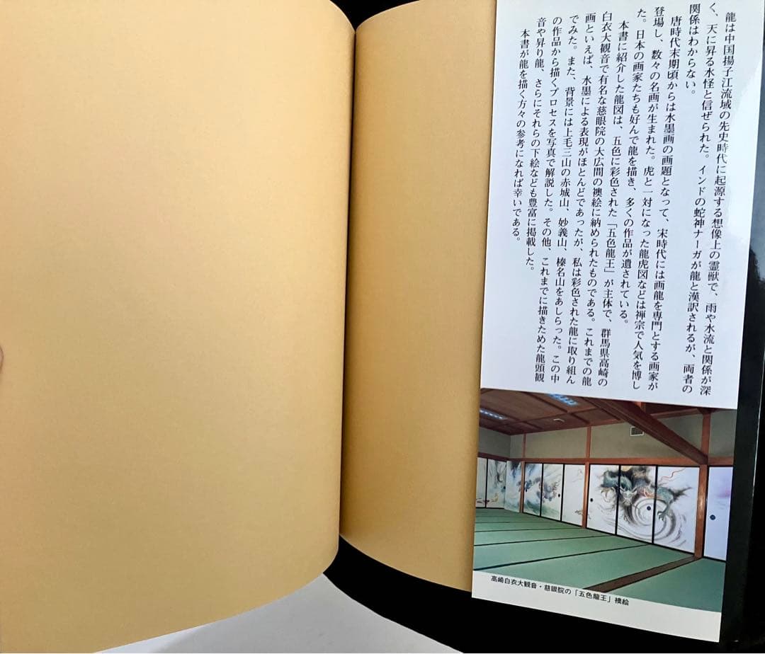 龍画の世界　五色龍王と龍頭観音を描く【著者 】江本象岳エモトショウガク日貿出版社