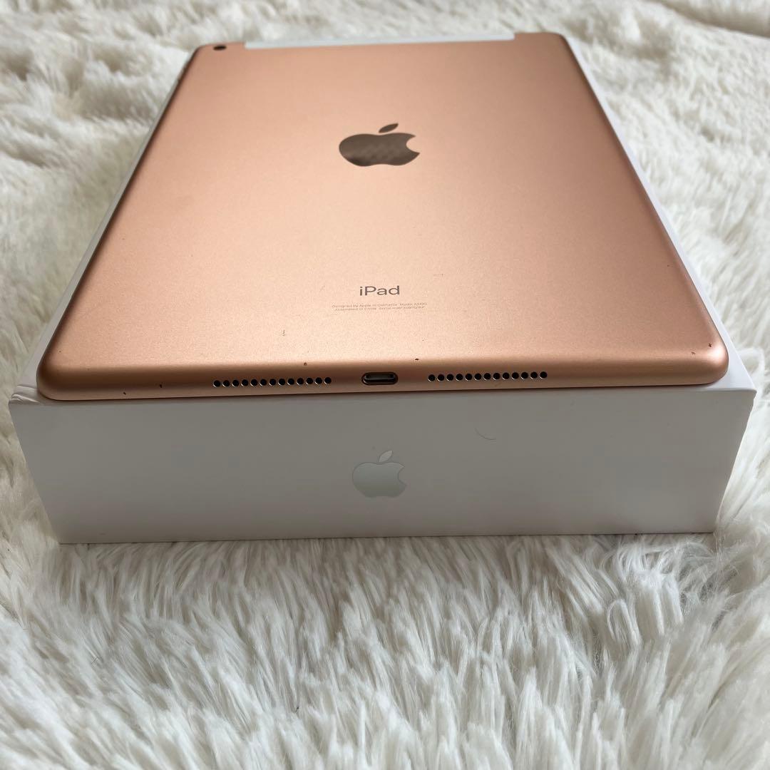 【即購入OK】iPad 第8世代 セルラーモデル【極美品】 #116 【付属品】