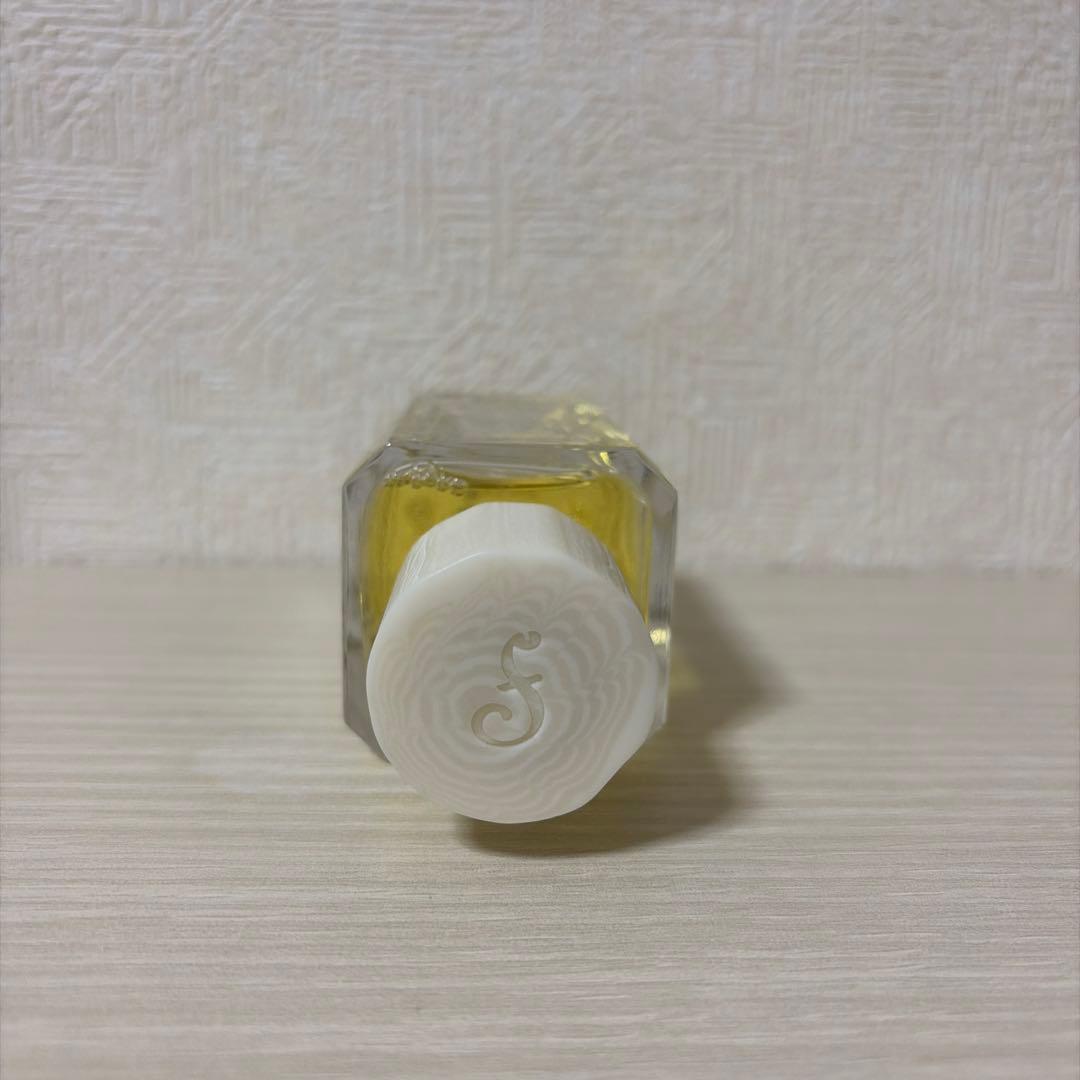 フエギア アンバルデロスアンデス 100ml